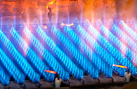 Whiteleaf gas fired boilers